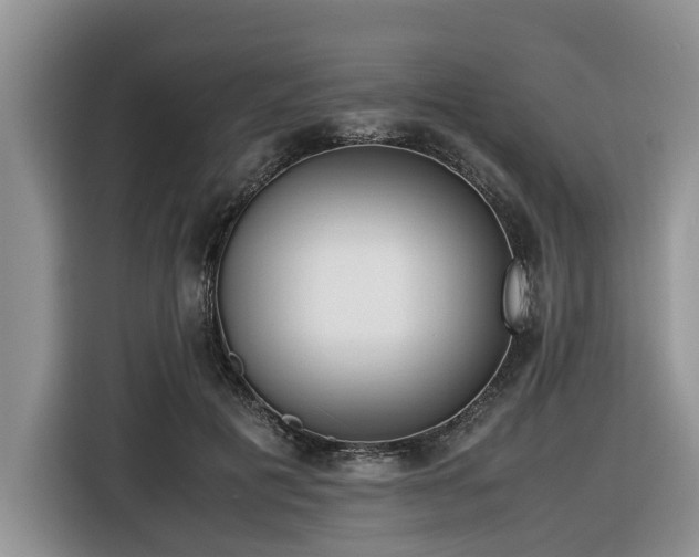 X0000116420601200912081505