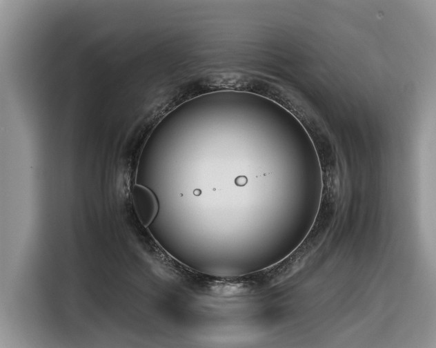 X0000116420602200912081505