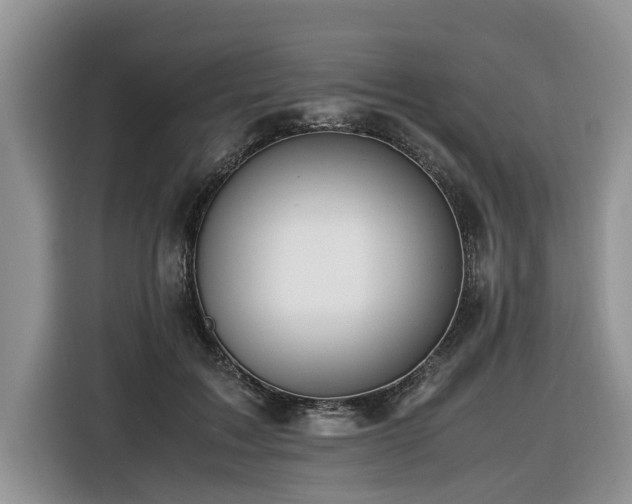 X0000116420603200912081505