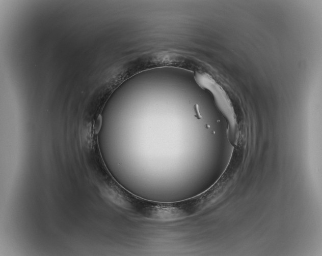 X0000116420605200912081505