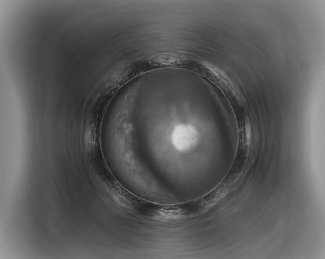 X0000116420606200912081505