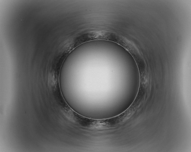 X0000116420607200912081505