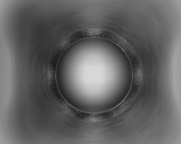 X0000116420608200912081505