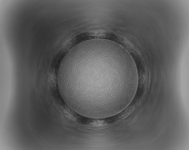 X0000116420609200912081505