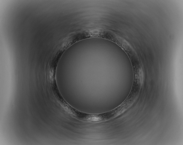 X0000116420610200912081505