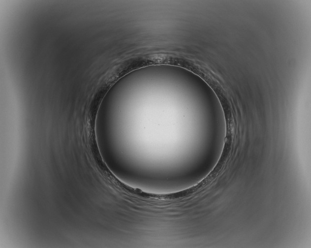 X0000116420611200912081505