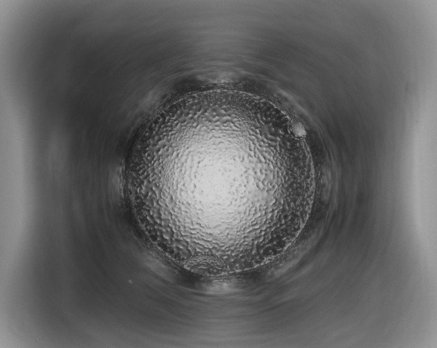 X0000116420612200912081505