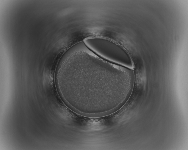 X0000116420613200912081505