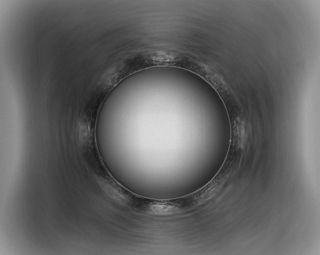 X0000116420614200912081505