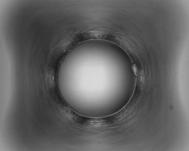 X0000116420615200912081505