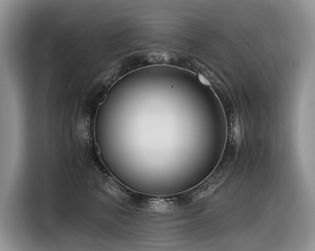 X0000116420616200912081505