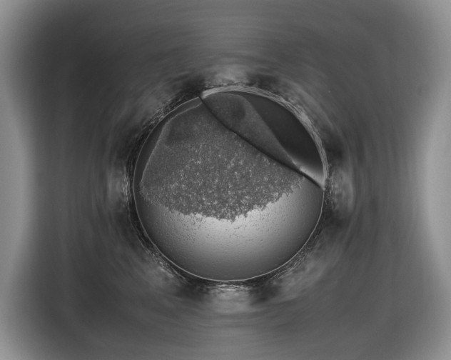 X0000116420617200912081505