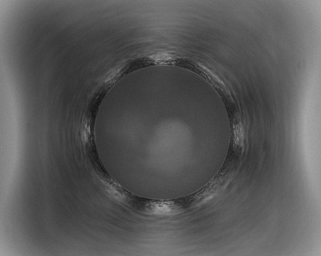 X0000116420618200912081505