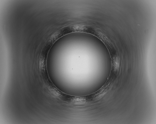 X0000116420619200912081505