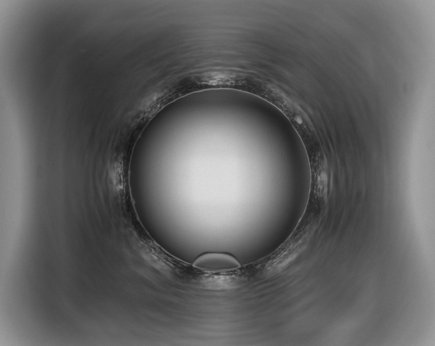 X0000116420620200912081505