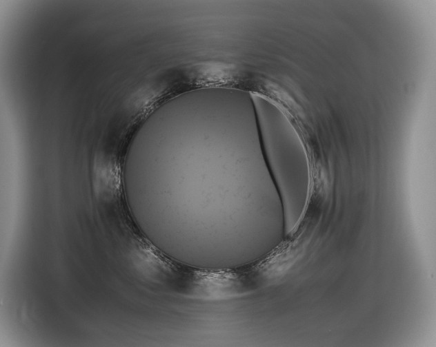 X0000116420621200912081505