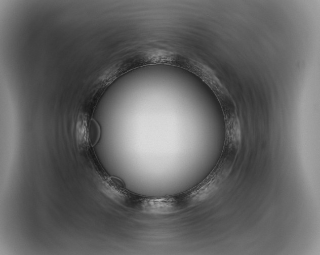 X0000116420622200912081505