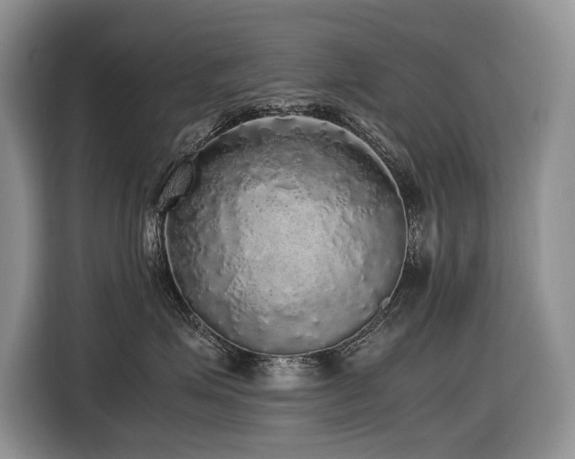 X0000116420623200912081505