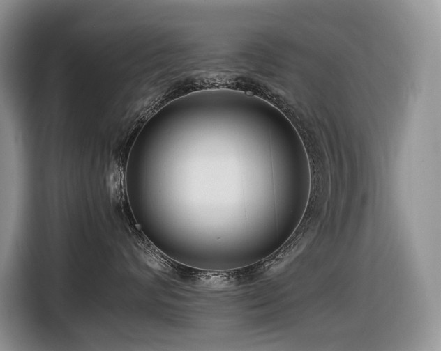 X0000116420624200912081505