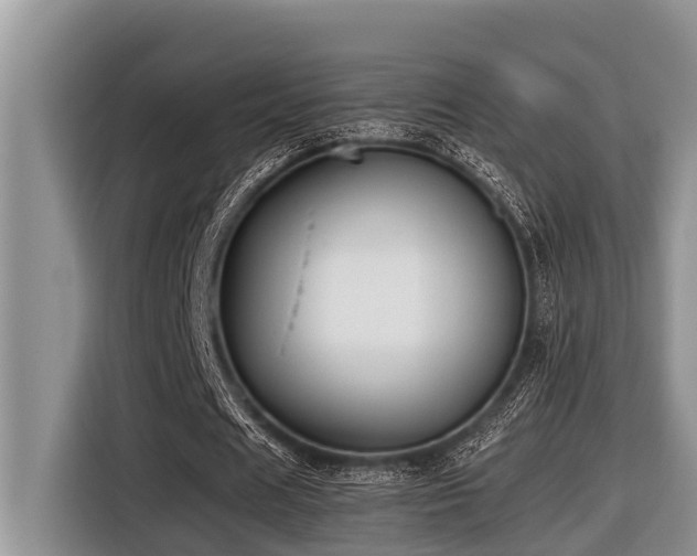 X0000116420625200912081504