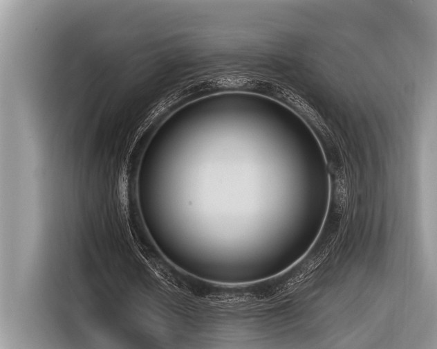 X0000116420626200912081504