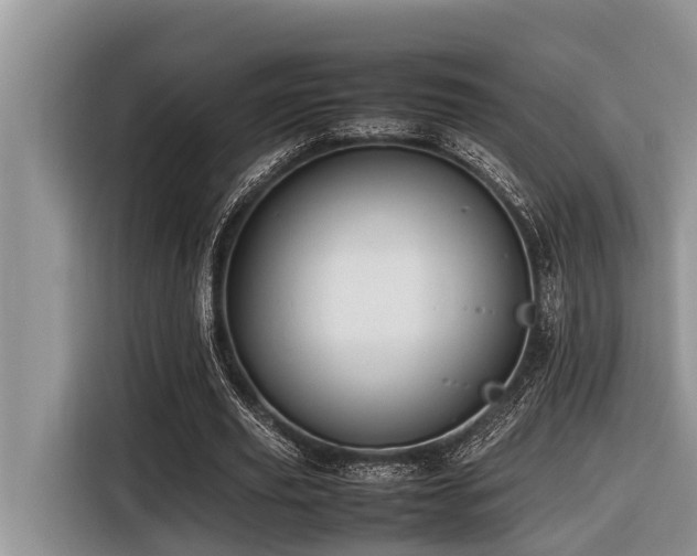 X0000116420629200912081504