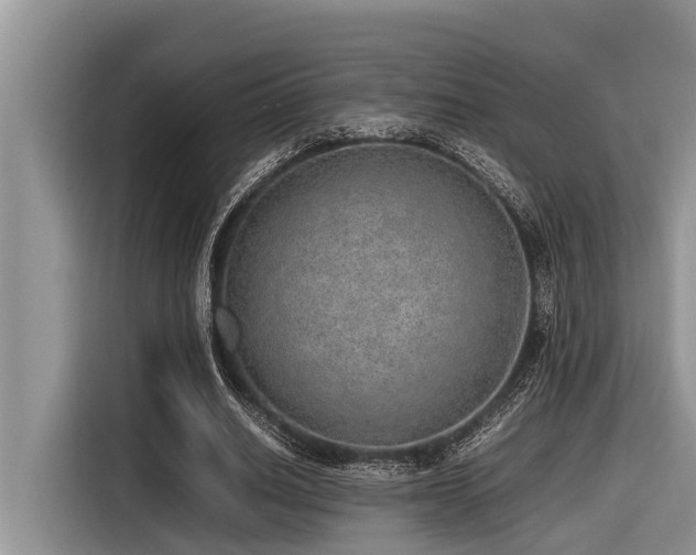 X0000116420630200912081504