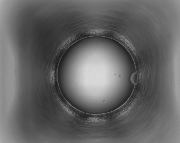 X0000116420633200912081505