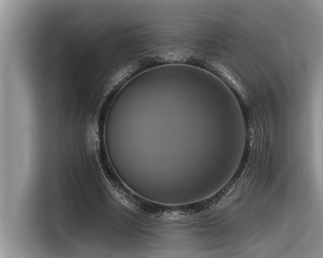 X0000116420634200912081505