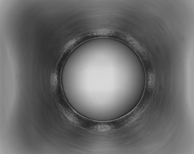 X0000116420636200912081505