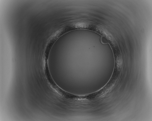 X0000116420637200912081505