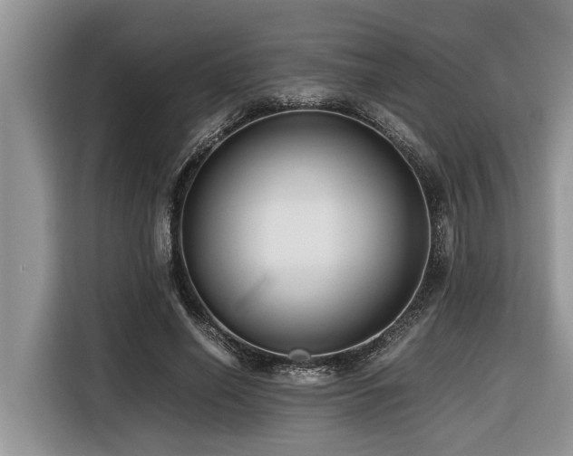 X0000116420638200912081505