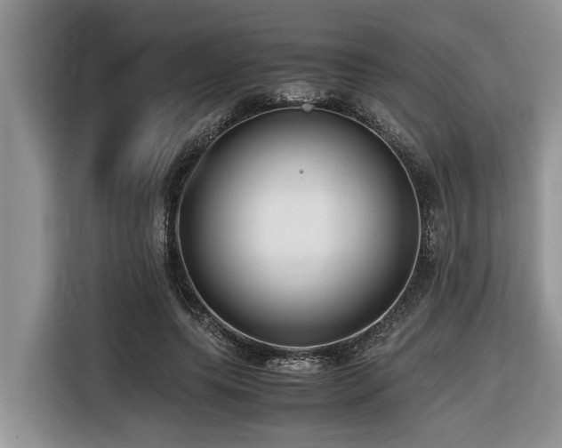 X0000116420639200912081505