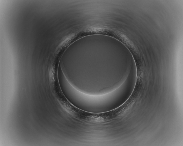 X0000116420640200912081505