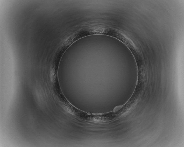 X0000116420641200912081505