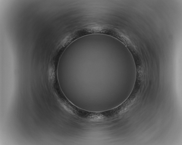 X0000116420642200912081505