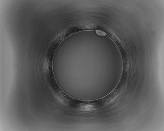 X0000116420643200912081505