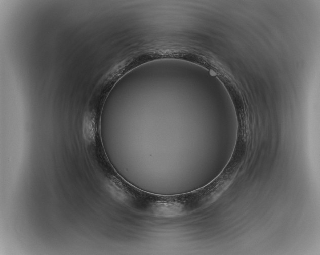 X0000116420644200912081505