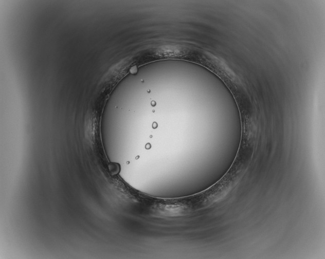 X0000116420645200912081505