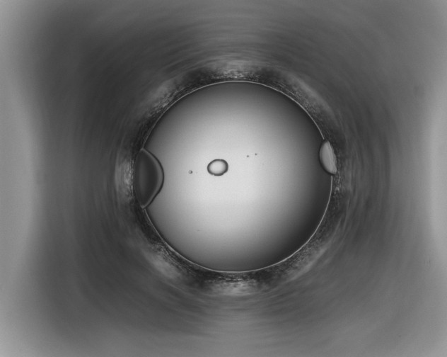 X0000116420646200912081505