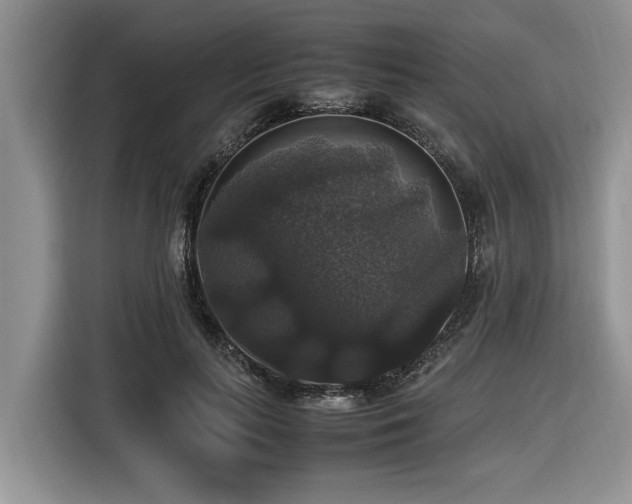 X0000116420647200912081505