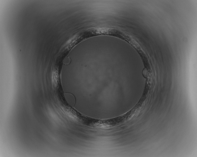 X0000116420648200912081505