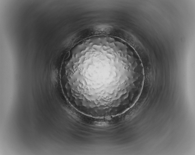 X0000116420649200912081505