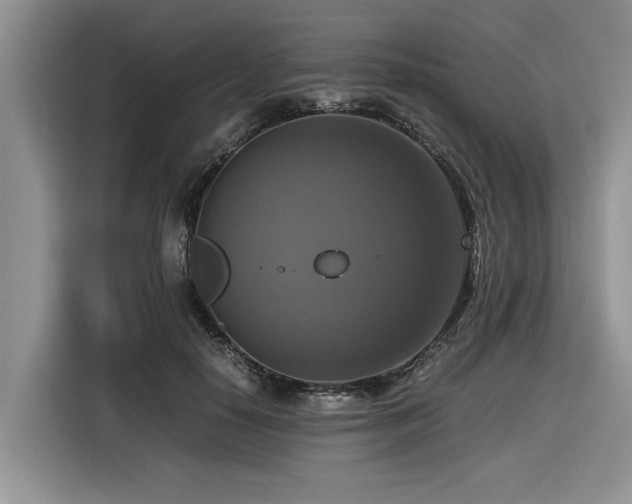 X0000116420650200912081505