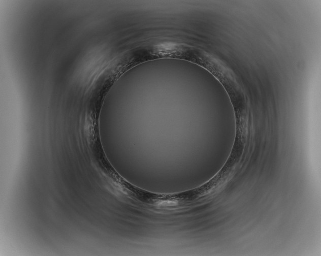 X0000116420653200912081505