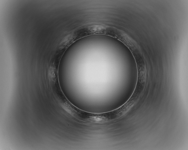 X0000116420654200912081505