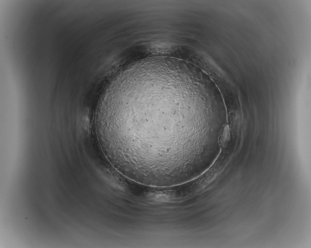 X0000116420655200912081505