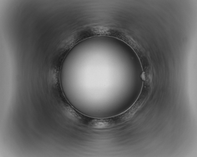 X0000116420658200912081505