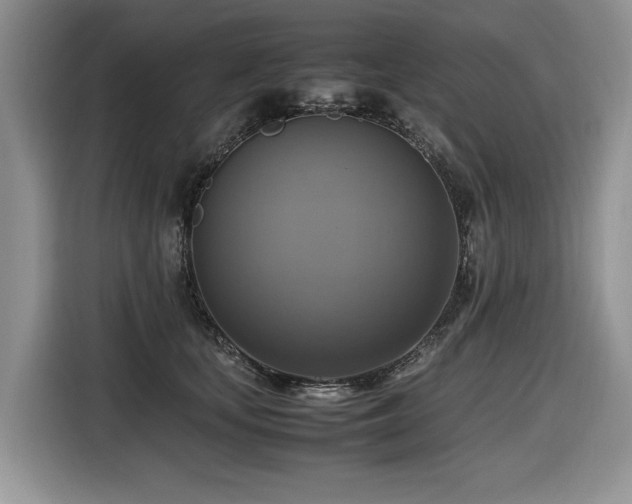 X0000116420659200912081505