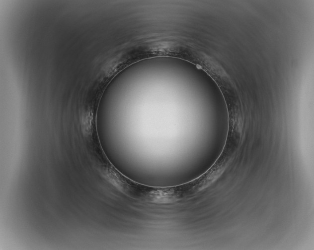 X0000116420660200912081505